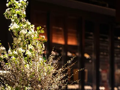 餐廳桌面上擺放陶瓷花瓶內的花卉佈置。