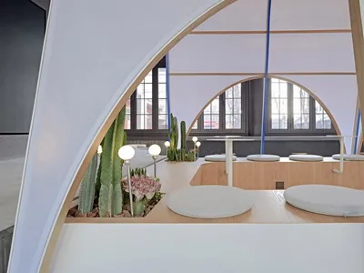 Modern cafe interior featuring a wooden counter and seating area with a mix of cactus plants and bright lighting.