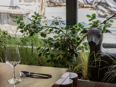 A modern restaurant interior featuring a wooden table with a wine glass, metal cutlery, and a glass window with green plants