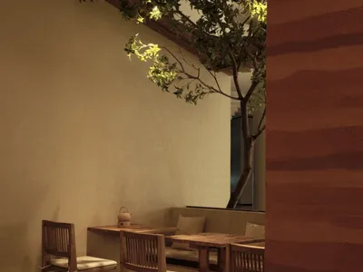 簡約風格的餐廳室內，擺設木質家具與一株植物。