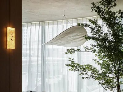 A modern restaurant interior featuring a wooden counter, concrete walls, and a large potted plant