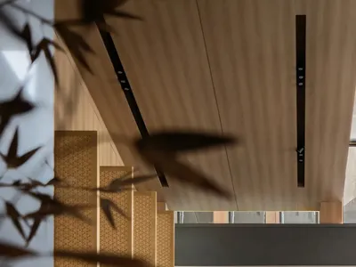 Hotel entrance with wooden framed doorway featuring round glass panels and minimalist design
