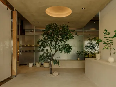 A retail space featuring concrete walls and floors with plants and shelves.