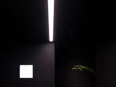 現代極簡臥室，深色大理石地板與牆面，擺放一盆木盆植栽。