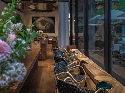 A cozy cafe interior with wooden tables and chairs, canvas seats, and potted plants.