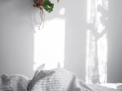 A minimalist indoor living room scene featuring a white wall with sunlight filtering through, a hanging plant in a macrame ho