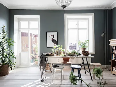 Minimalist Scandinavian design interior with plants and natural light.