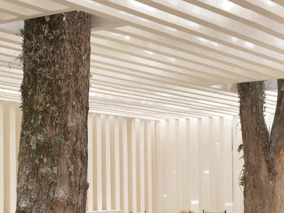 A modern minimalist restaurant interior with wooden tables and chairs, large windows, and natural light.