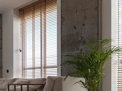 Contemporary living room with concrete walls, wooden floor, and fabric furniture, featuring vertical blinds.