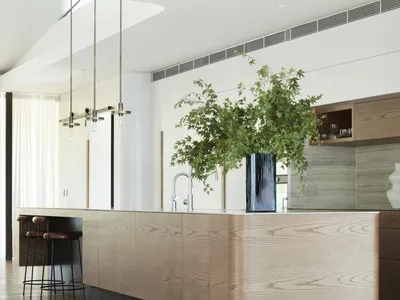 Modern kitchen with wooden finishes, contemporary fixtures, and green plant.