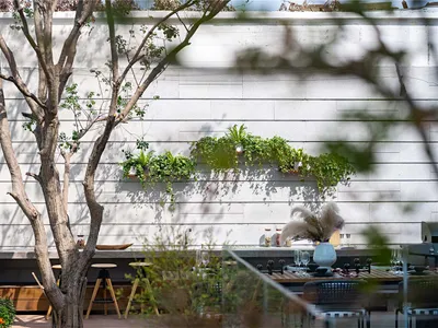 Minimalist outdoor kitchen featuring a concrete wall, hanging plants, and seating area.