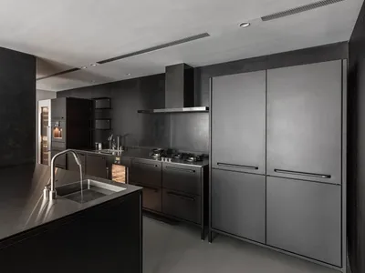 Modern kitchen with metallic surfaces and sleek design features.