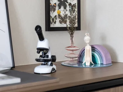 A modern home office with a wooden desk featuring a microscope, butterfly collection, and other decorative items.