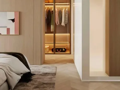 Modern bathroom with contemporary wood elements, including a closet with accent lighting and storage boxes.