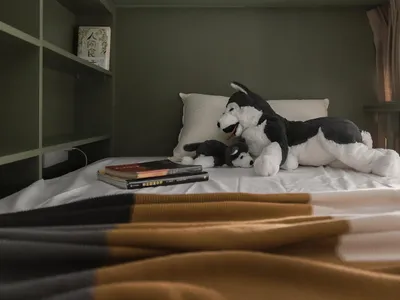 Bedroom with modern design elements, including soft furnishings and books.