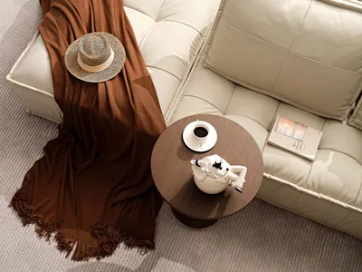 A cozy living room scene with a blanket draped over a couch, accompanied by a tea set and a book.