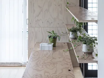 A minimalist home office with wooden paneling and indoor plants.