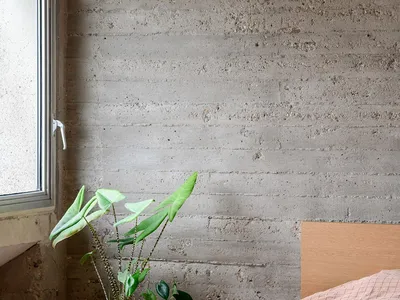 A minimalist bedroom with concrete walls, featuring a bed with a pink sheet and a green plant.