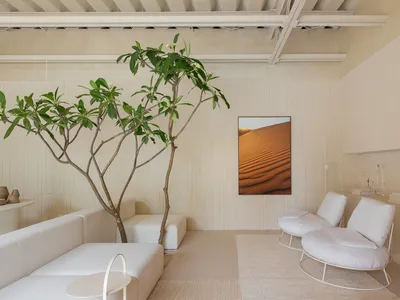 A minimalist living room with white furniture and a tree decoration