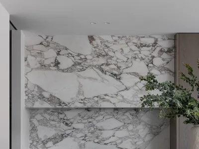 A modern kitchen with marble countertops and backsplash, featuring stainless steel appliances and a potted plant.
