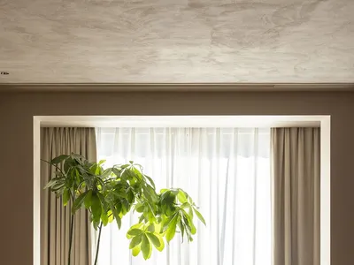 A minimalist bedroom with a bed, a plant, and a chair in front of a window with natural light.