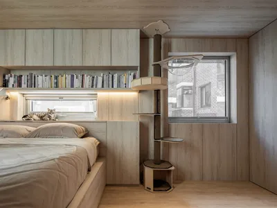 A minimalist bedroom with wooden elements and a cat perched on a shelf.