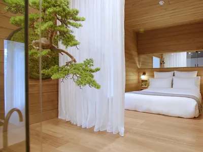 A minimalist bedroom with white bedding, wooden walls, and a potted tree in a white curtain enclosure.