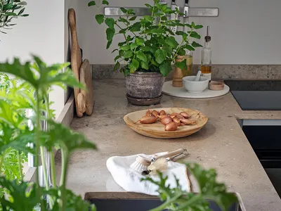 Photograph of a modern kitchen featuring marble countertops with plants, bowls, and cooking utensils.