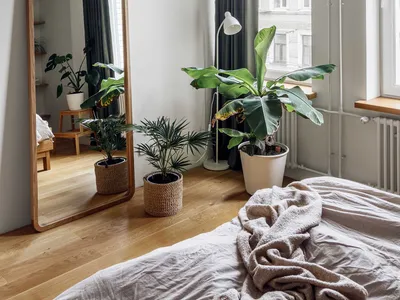 Minimalist bedroom featuring plants and a large floor mirror.