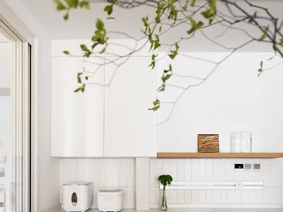 A modern, minimalist kitchen featuring sleek, white cabinetry and wood accents, with a white countertop and a window providin