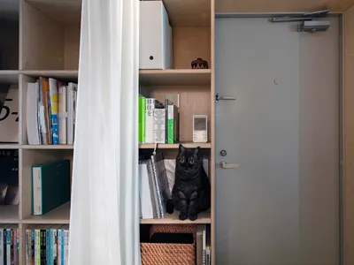 A minimalist home office featuring wooden shelves filled with books and a black cat sitting on a shelf.