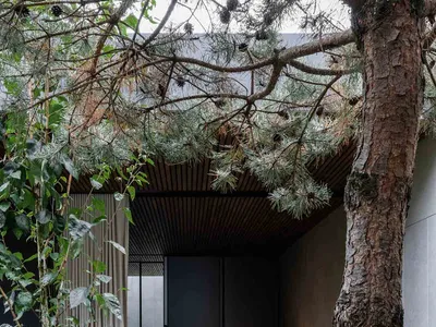 Modern minimalist bedroom with a wooden canopy over a bed, surrounded by greenery.
