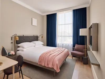 A modern bedroom featuring a double bed covered with a pink blanket, side table, desk, and chair with natural wooden finishes