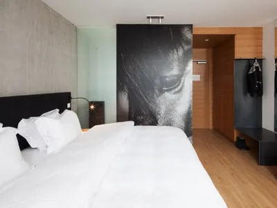 Modern minimalist bedroom with a white bed, wooden flooring, concrete walls, and glass panels.