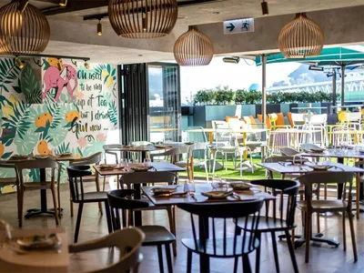 Modern bar and cafe with indoor plants and hanging light fixtures.