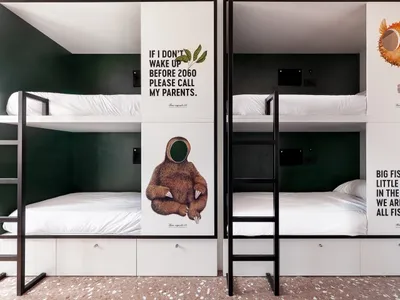 A modern bunk bed with posters and minimalist decor in a bedroom setting.