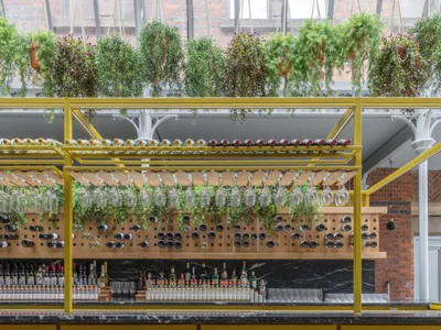 A restaurant bar with yellow metal shelving, green planters, and a variety of bottles and glasses.