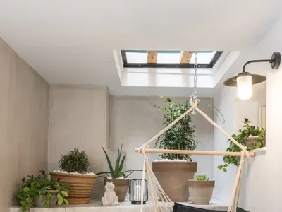 Industrial-style living room with concrete walls, a black hammock chair, and various potted plants.