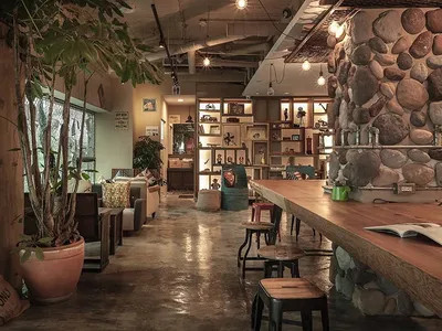A cozy cafe with a rock wall, concrete floor, and potted plants