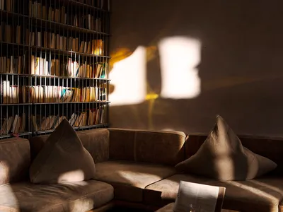 A cozy living room with a beige sofa, filled with light and surrounded by shelves of books.