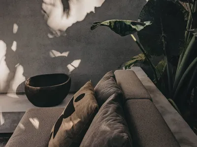 A modern living room featuring a concrete floor and a large houseplant.