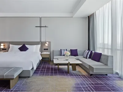 A spacious hotel room with a modern design, including a large bed with a blanket, a comfortable sofa with purple accents, and