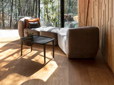 Contemporary living room featuring wood-paneled walls and ceiling, large glass windows overlooking a forest, and a comfortabl
