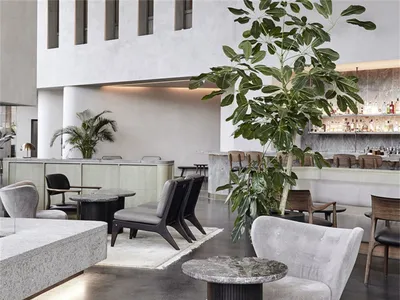 A modern restaurant interior with concrete, marble, and wooden elements and green plants