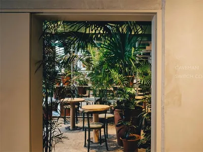 Industrial restaurant interior with concrete walls, large plants, and rustic furniture.