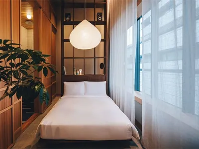 Modern minimalist bedroom with a bed, a plant, and wooden slats on the wall.