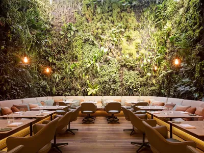 A modern restaurant interior with wooden floors and a living wall.