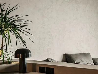 Minimalist living room with concrete furniture and a potted plant.