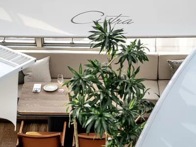 A modern restaurant seating area with wooden furniture and a plant.