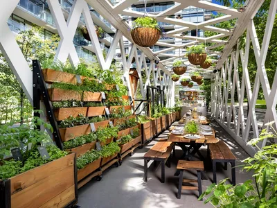 Outdoor restaurant seating area with wooden tables and hanging planters filled with greenery, supported by white metal struct
